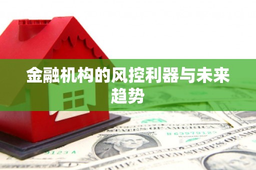 潘集金融机构的风控利器与未来趋势