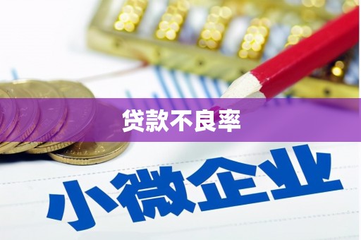 潘集贷款不良率