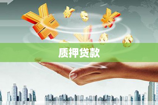 潘集质押贷款