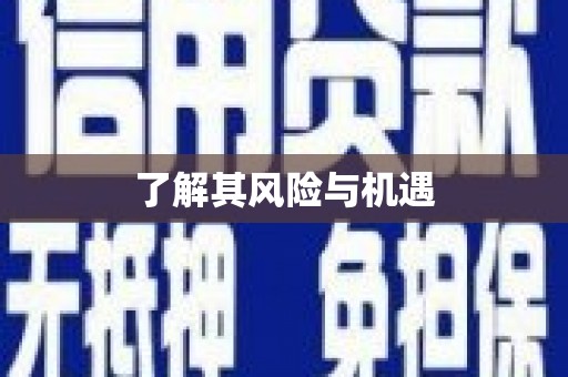 潘集了解其风险与机遇