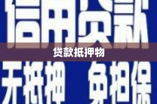 潘集贷款抵押物