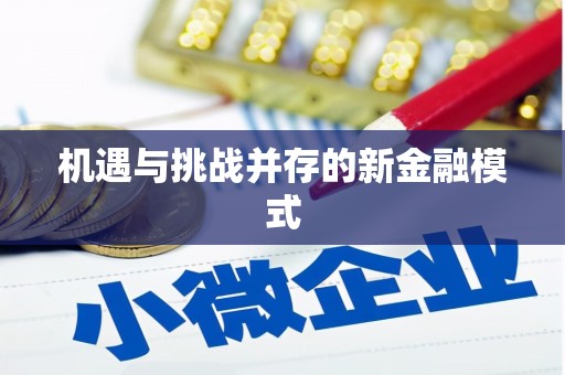 潘集机遇与挑战并存的新金融模式