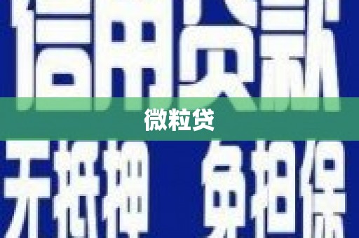 潘集微粒贷