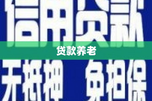 潘集贷款养老