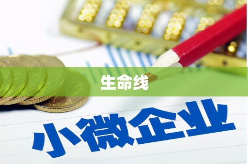 潘集生命线