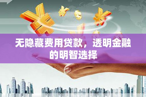 潘集无隐藏费用贷款，透明金融的明智选择