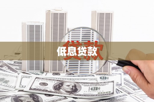 潘集低息贷款