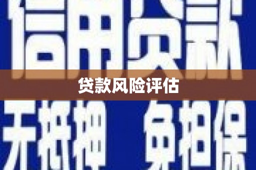 潘集贷款风险评估
