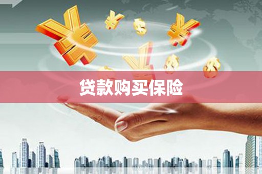 潘集贷款购买保险