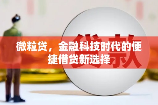 潘集微粒贷，金融科技时代的便捷借贷新选择