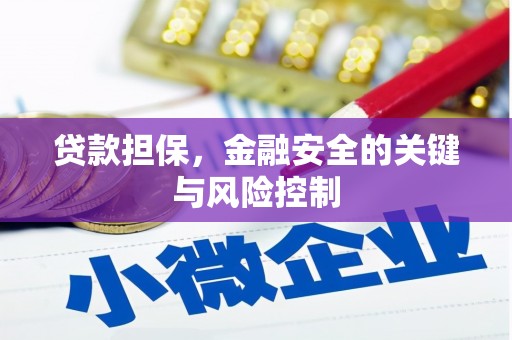 潘集贷款担保，金融安全的关键与风险控制