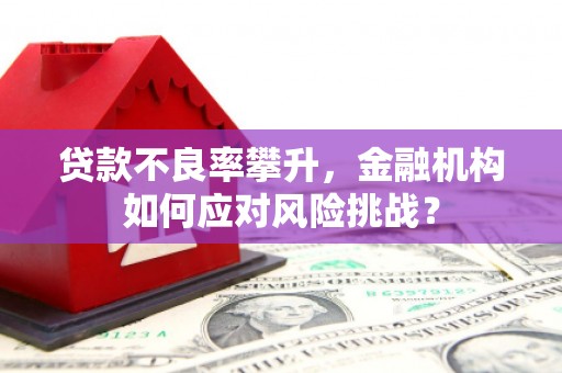 潘集贷款不良率攀升，金融机构如何应对风险挑战？