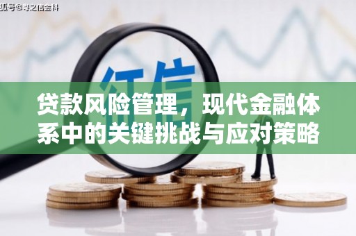 潘集贷款风险管理，现代金融体系中的关键挑战与应对策略