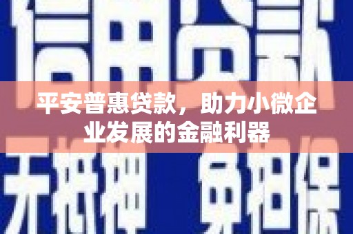 潘集平安普惠贷款，助力小微企业发展的金融利器