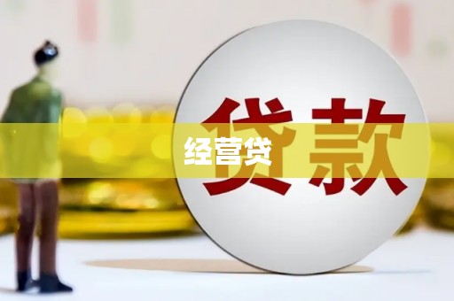 潘集经营贷