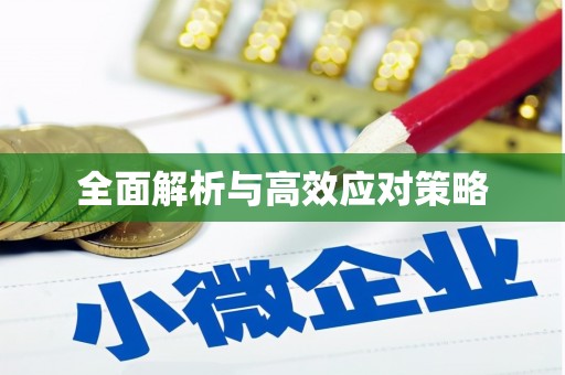 潘集全面解析与高效应对策略