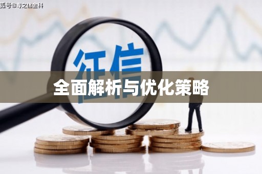 潘集全面解析与优化策略